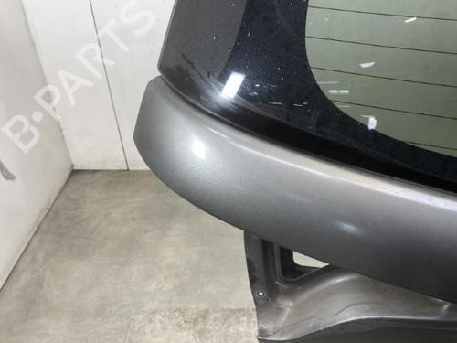 Used Tailgate Tailgate 19950973 19950973