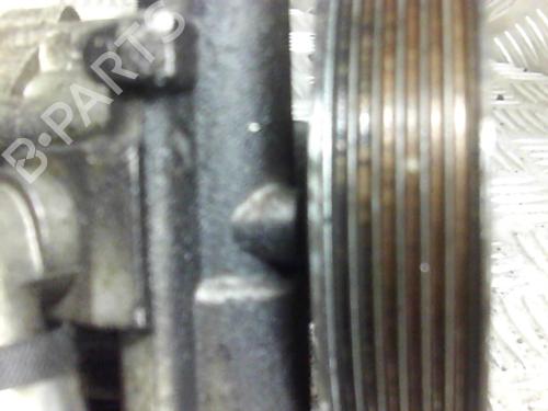 Steering pump FIAT DOBLO Cargo (263_) | BP20016355M99