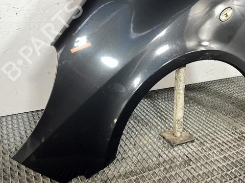 Left front fenders PEUGEOT 1007 (KM_) 1.4 HDi | BP29968514C41