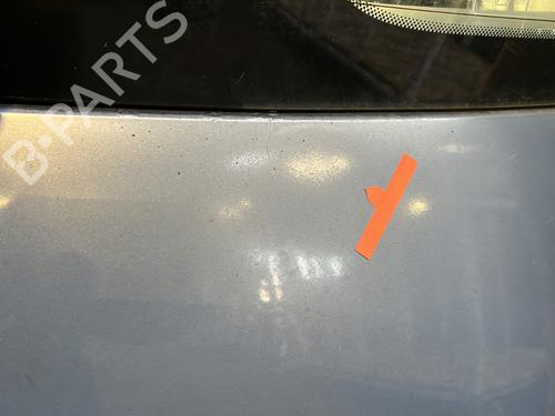 Tailgate RENAULT GRAND SCÉNIC II (JM0/1_) 1.9 dCi (JM0G, JM12, JM1G, JM2C) | BP31170015C6