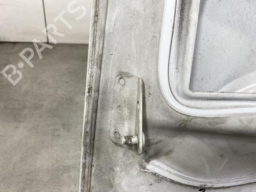 Hood MERCEDES-BENZ SPRINTER 3,5-t Van (B906) 311 CDI (906.631, 906.633, 906.635, 906.637) | BP30129381C1