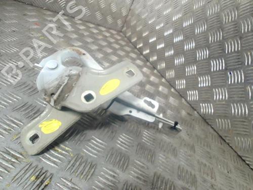 Hinge/Door check strap RENAULT CLIO III (BR0/1, CR0/1) 1.5 dCi | BP19977775C146 