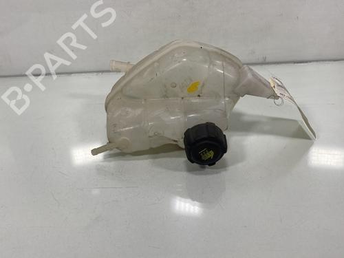 Used Expansion tank NISSAN QASHQAI II SUV (J11, J11_) 1.6 dCi (130 hp) 19999644