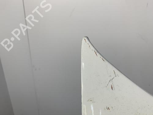 Hood PEUGEOT BIPPER (AA_) 1.4 HDi | BP21957902C1