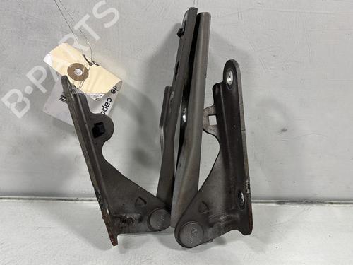 Hinge/Door check strap SEAT IBIZA III (6L1) 1.4 16V | BP29610010C146