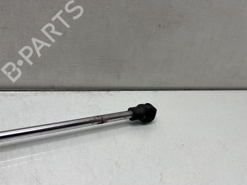 Hood lift support DACIA SANDERO II TCe 90 (B8M1, B8MA, B8AC) | BP29841667C139
