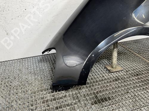 Left front fenders RENAULT CLIO III (BR0/1, CR0/1) 1.5 dCi (C/BR0G, C/BR1G) | BP30168992C41 