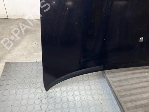 Hood TOYOTA RAV 4 II (_A2_) 2.0 D 4WD (CLA20_, CLA21_, CLA20R, CLA21R) | BP30090646C1 