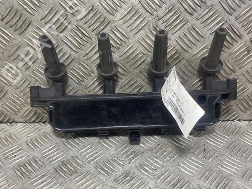 ignition-coil-peugeot-206-2l_-2m_-2009-2010-2011-2012-2013-31212002 main image