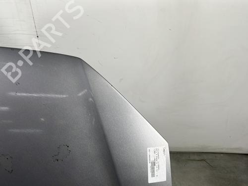 Hood VW POLO IV (9N_, 9A_) 1.4 TDI | BP28281437C1 