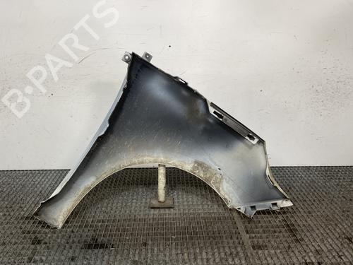 Left front fenders RENAULT SCÉNIC III (JZ0/1_) 1.5 dCi | BP25758924C41 