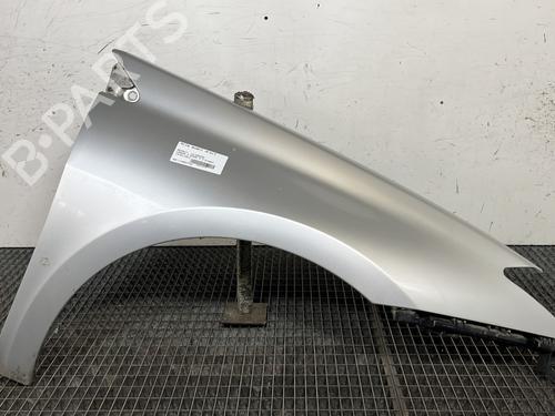 Used Right front fenders RENAULT LAGUNA III (BT0/1) 2.0 dCi (BT07, BT0J, BT14, BT1A, BT1S) (131 hp) 30872126