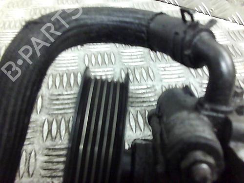 Used Steering pump Steering pump FORD TRANSIT CONNECT (P65_, P70_, P80_) 1.8 TDCi (90 hp) 19983561 19983561