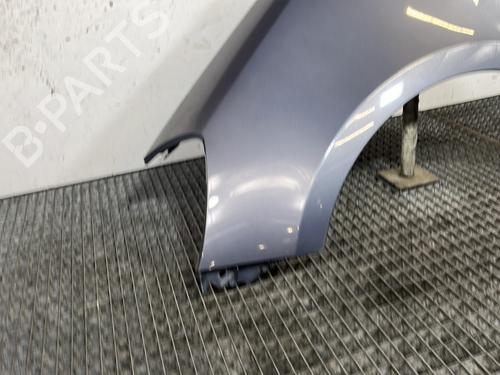 Left front fenders RENAULT CLIO III (BR0/1, CR0/1) 1.2 16V (BR02, BR0J, BR11, CR02, CR0J, CR11) | BP30698602C41