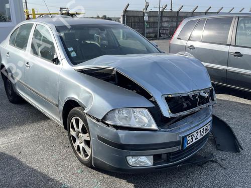 Used Parts SKODA OCTAVIA II (1Z3) 1.9 TDI (105 hp) 4248529