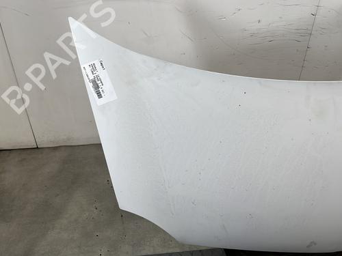 Hood RENAULT KANGOO / GRAND KANGOO II (KW0/1_) 1.5 dCi 90 (KW05, KW08, KW0G, KW11) | BP29329286C1 