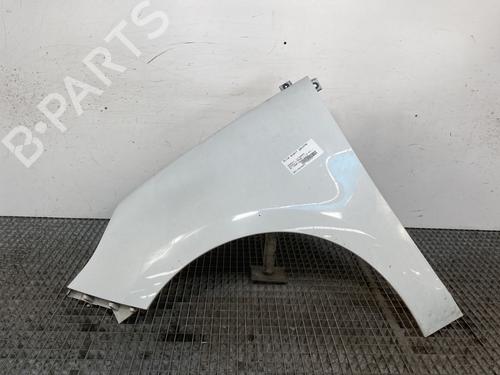 Used Left front fenders RENAULT SCÉNIC III (JZ0/1_) 1.5 dCi (110 hp) 25758924