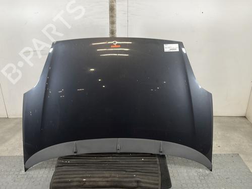 Used Hood FIAT GRANDE PUNTO (199_) 1.3 D Multijet (75 hp) 30535703