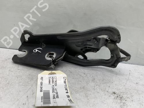 Hinge/Door check strap CITROËN XSARA PICASSO (N68) 1.6 HDi | BP19974730C146 