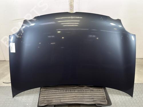 Used Hood VW POLO IV (9N_, 9A_) 1.4 TDI (75 hp) 29329287