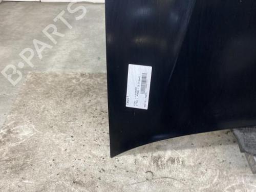 Hood FORD FOCUS C-MAX (DM2)  | BP19969542C1 