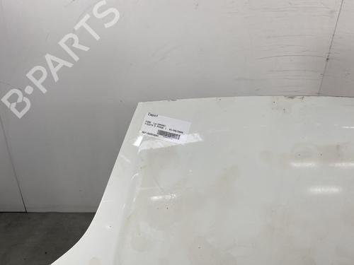 Hood FORD FIESTA V (JH_, JD_) 1.4 TDCi | BP21960986C1 