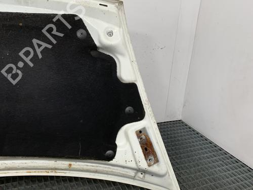 Hood FORD TRANSIT Van (FA_ _) 2.0 DI (FAE_, FAF_, FAG_) | BP21958348C1 