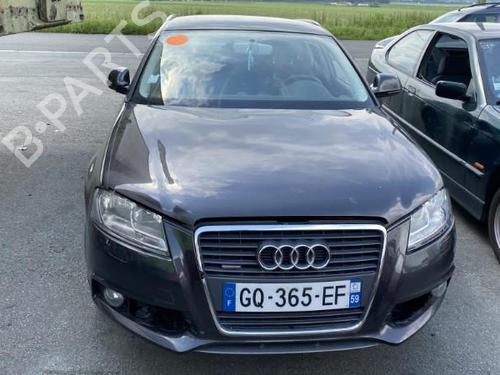 Left front door AUDI A3 Sportback (8PA) 2.0 TFSI quattro | BP22713720C2 