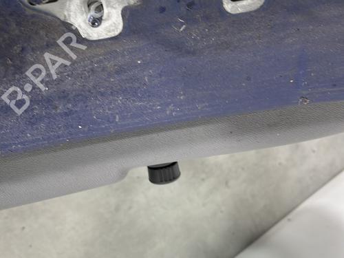 Right rear door RENAULT CLIO III (BR0/1, CR0/1) 1.5 dCi (BR17, CR17) | BP29842179C5