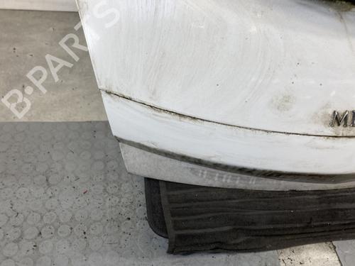Tailgate RENAULT MEGANE II (BM0/1_, CM0/1_) 1.5 dCi (BM1E, CM1E) | BP25592802C6 
