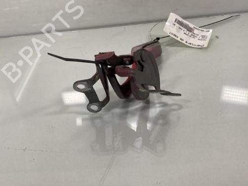 Hinge/Door check strap TOYOTA AYGO (_B1_) 1.4 D-4D (WNB10_, WNB10R) | BP19950364C146 