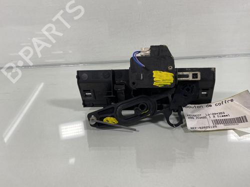 Switch PEUGEOT 206 Hatchback (2A/C) 2.0 HDI 90 | BP19996839I30 