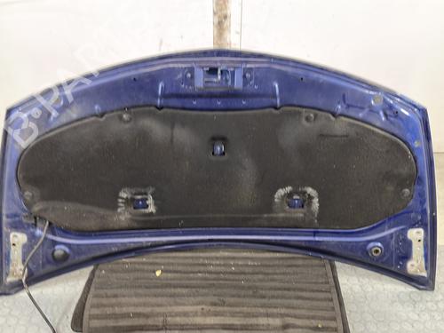 Hood RENAULT CLIO III (BR0/1, CR0/1) 1.5 dCi (BR17, CR17) | BP32062581C1 