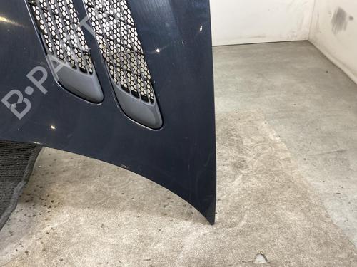 Hood PEUGEOT 206+ (2L_, 2M_) 1.4 HDi eco 70 | BP19970198C1