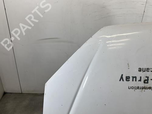 Hood PEUGEOT 206 Hatchback (2A/C) 1.4 HDi eco 70 | BP31146857C1