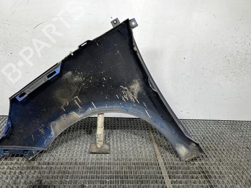 Right front fenders RENAULT SCÉNIC III (JZ0/1_) 1.5 dCi | BP26522668C42 