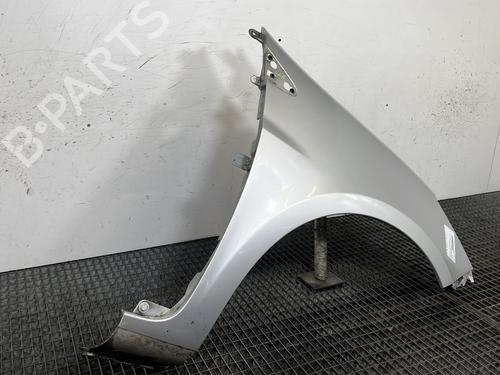 Right front fenders RENAULT CLIO III (BR0/1, CR0/1) 1.5 dCi (BR17, CR17) | BP29841532C42