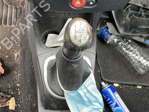 Tailgate RENAULT CLIO III (BR0/1, CR0/1) 1.5 dCi (BR17, CR17) | BP30678196C6 