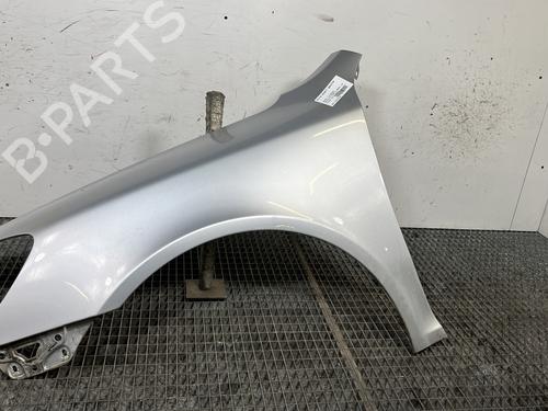 Used Left front fenders SKODA OCTAVIA II Combi (1Z5) 1.6 TDI (105 hp) 31288689