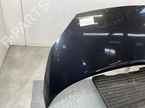 hood-renault-scenic-ii-jm01_-2003-2004-2005-2006-2007-2008-2009-2010-32063279 main image