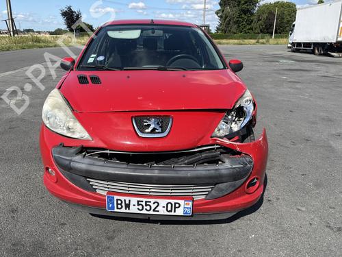 Left front door PEUGEOT 206+ (2L_, 2M_) 1.4 i | BP29999542C2