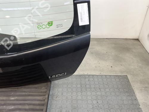 Tailgate DACIA SANDERO 1.5 dCi | BP29202803C6 