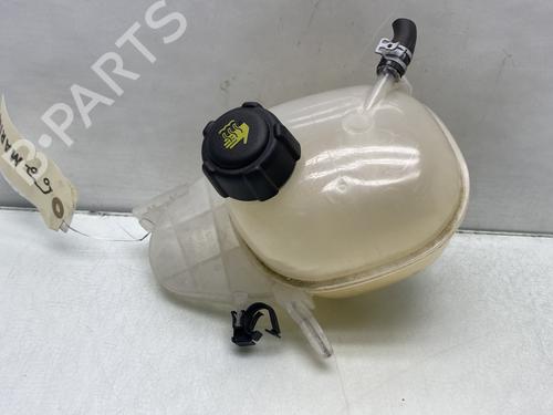 Used Expansion tank RENAULT TWINGO III (BCM_, BCA_) 1.0 SCe 70 (71 hp) 24197734