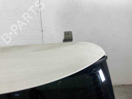 Tailgate MINI MINI (R50, R53)  | BP21690025C6