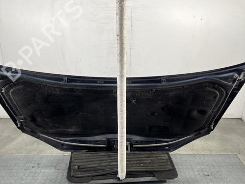 Hood VW POLO IV (9N_, 9A_) 1.4 TDI | BP28353382C1 