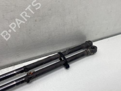 Tailgate lift support RENAULT KANGOO (KC0/1_) 1.5 dCi (KC07) | BP28705053C138 