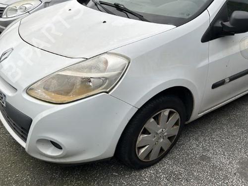 Right front door RENAULT CLIO III (BR0/1, CR0/1) 1.5 dCi (C/BR0G, C/BR1G) | BP21960549C3 