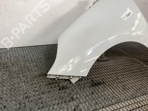 Left front fenders RENAULT SCÉNIC III (JZ0/1_) 1.5 dCi | BP25758924C41 