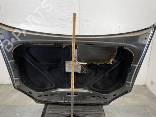 Used Hood FIAT CROMA (194_) 1.9 D Multijet (194AXB1B) (120 hp) 20703212