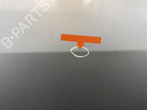 Left rear door VW GOLF PLUS V (5M1, 521) 1.9 TDI | BP21958973C4 